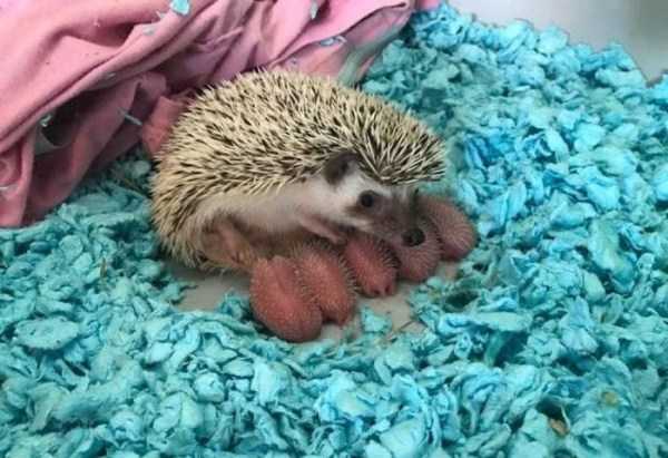 54 Nothing But Awesome Pics (54 photos)