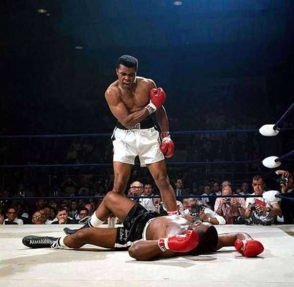 54 Nothing But Awesome Pics (54 photos)