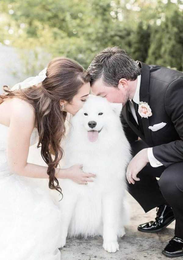 54 Nothing But Awesome Pics (54 photos)