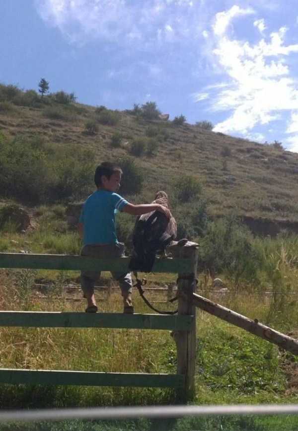 54 Nothing But Awesome Pics (54 photos)