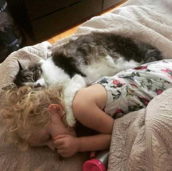 54 Nothing But Awesome Pics (54 photos)