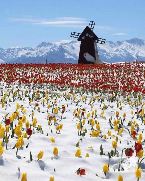 54 Nothing But Awesome Pics (54 photos)