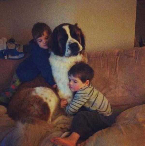 54 Nothing But Awesome Pics (54 photos)