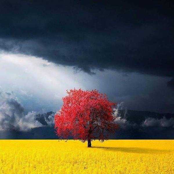 59 Nothing But Awesome Pics (59 photos)