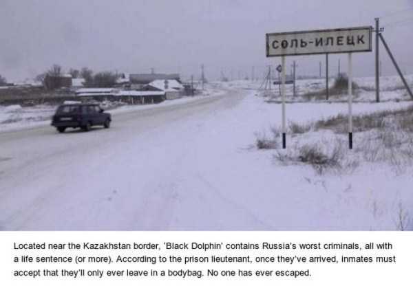 Black Dolphin: Russias Highest Security Prison (15 photos)