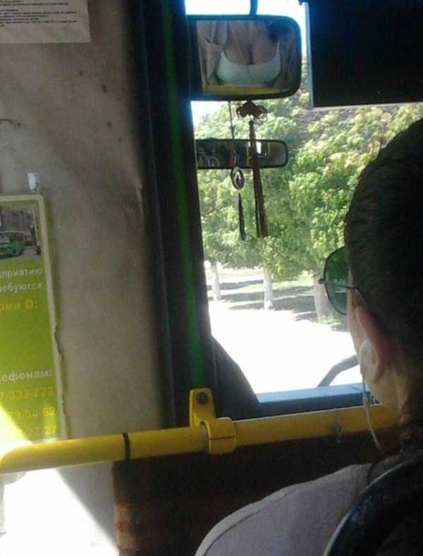 Girls In Public Transport (65 photos)