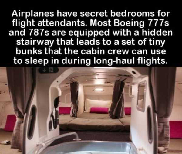It’s Time For Some Cool And Interesting Facts – Part 67 (57 photos)