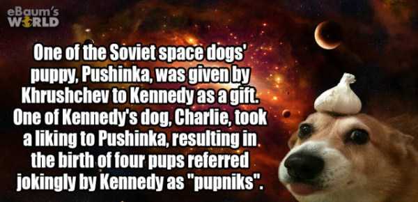 It’s Time For Some Cool And Interesting Facts – Part 67 (57 photos)