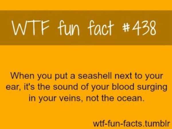 It’s Time For Some Cool And Interesting Facts – Part 67 (57 photos)