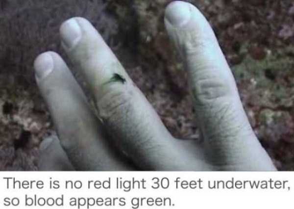 It’s Time For Some Cool And Interesting Facts – Part 67 (57 photos)