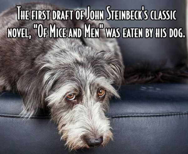 It’s Time For Some Cool And Interesting Facts – Part 67 (57 photos)