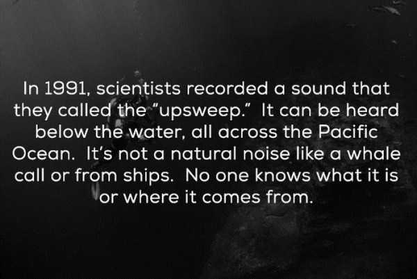 Unexplained Underwater Mysteries (20 photos)