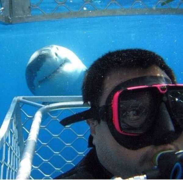 Pay Attention To The Background (46 photos)