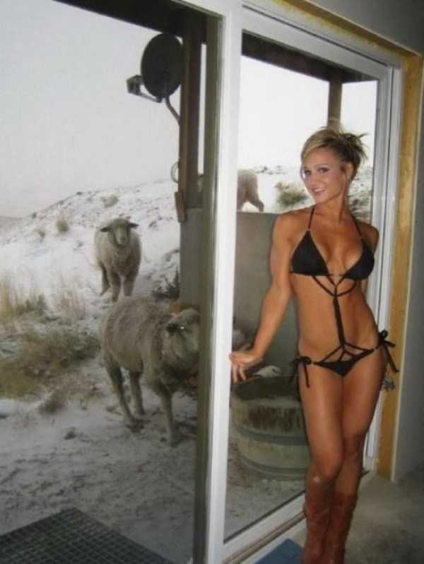 Put Your Dirty Mind To The Test – Part 6 (42 photos)