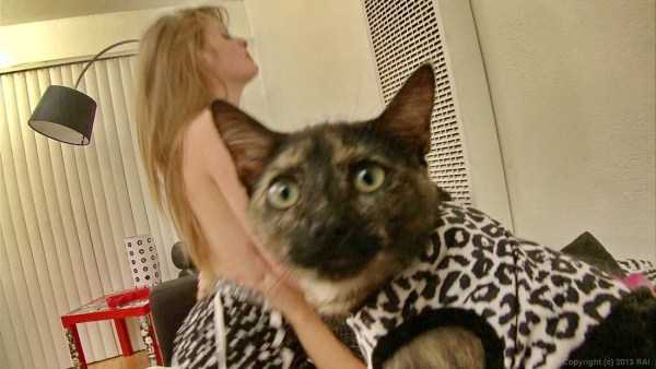 Put Your Dirty Mind To The Test – Part 7 (48 photos)