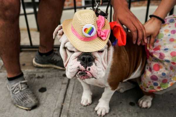 42 Amazing HD Pics That Will Please Your Eyes (42 photos)