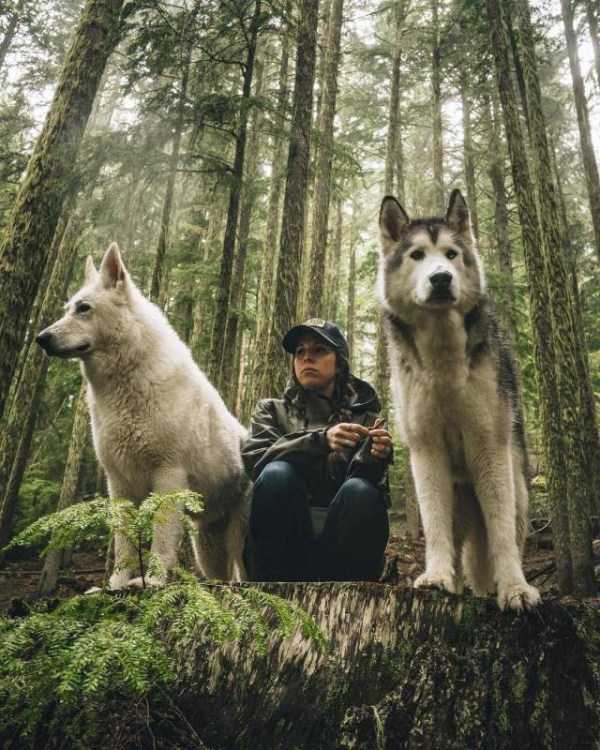 42 Amazing HD Pics That Will Please Your Eyes (42 photos)