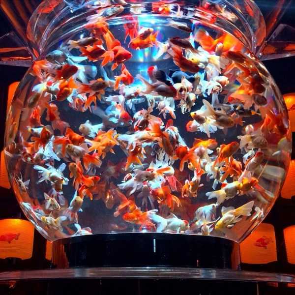 42 Amazing HD Pics That Will Please Your Eyes (42 photos)