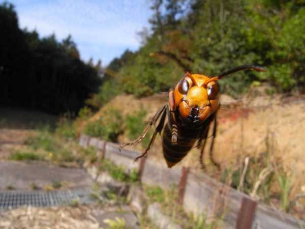 42 Amazing HD Pics That Will Please Your Eyes (42 photos)