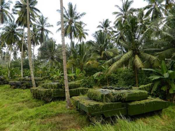 42 Amazing HD Pics That Will Please Your Eyes (42 photos)