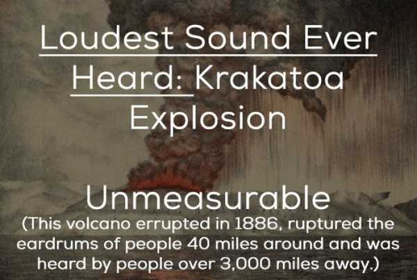 20 Seriously Loud Things (20 photos)