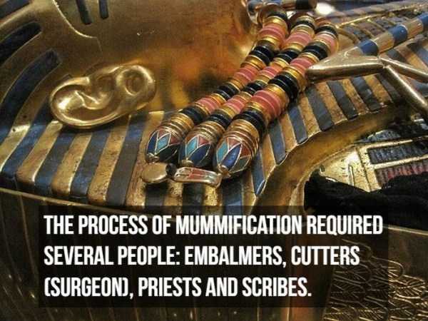 Eerie Facts About Mummies (17 photos)