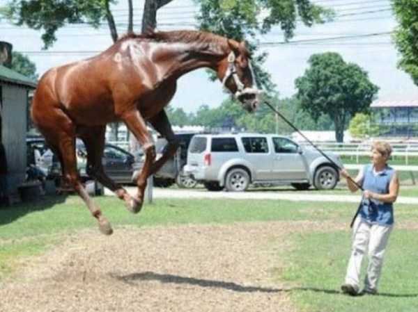 65 Perfectly Timed Photos