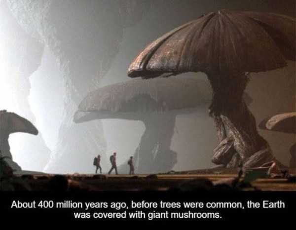 It’s Time For Some Cool And Interesting Facts – Part 66 (37 photos)