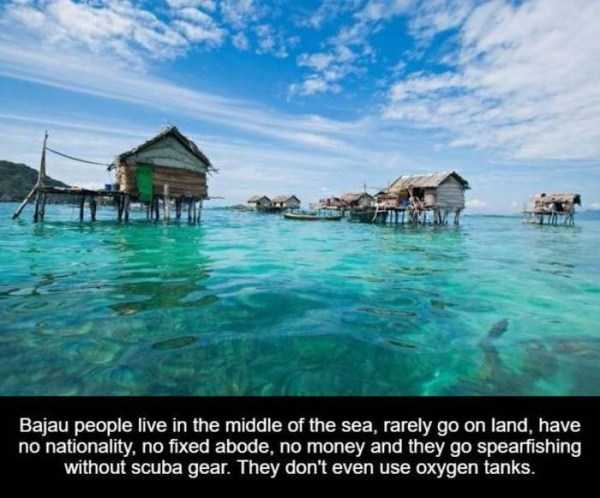 It’s Time For Some Cool And Interesting Facts – Part 66 (37 photos)