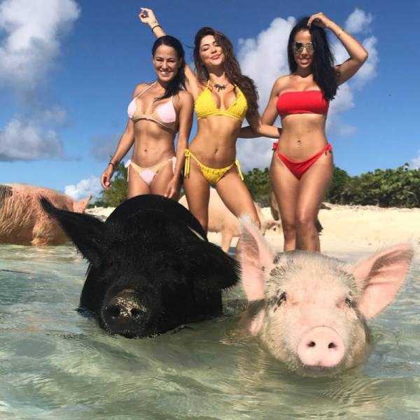 A Little Fun For Adults – Part 119 (88 photos)