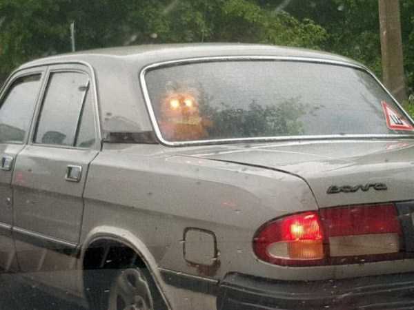 38 WTF Photos From The Planet Russia