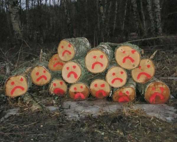 38 WTF Photos From The Planet Russia