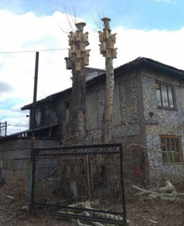 38 WTF Photos From The Planet Russia