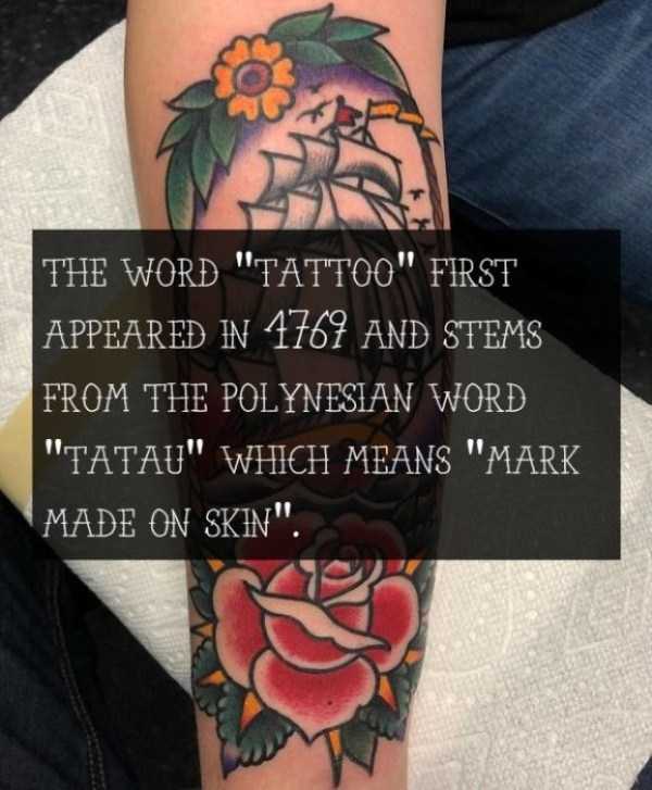 A Few Facts About Tattoos (18 photos)