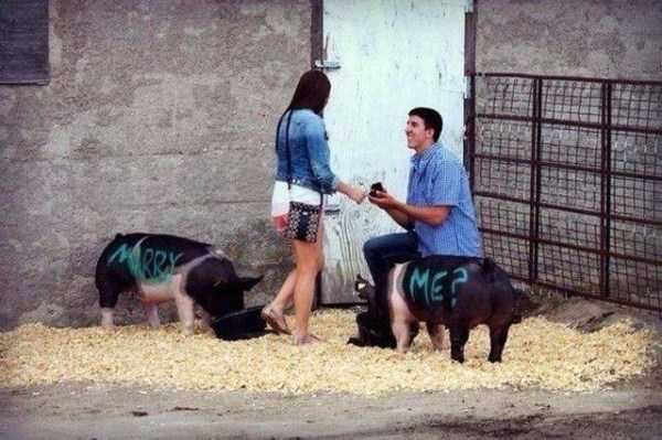 That Weird Side Of The Internet – Part 58 (68 photos)