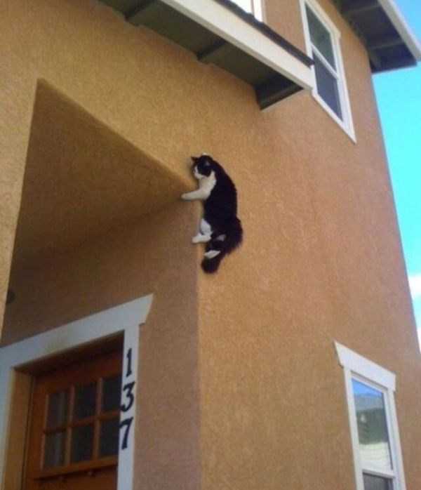 That Weird Side Of The Internet – Part 58 (68 photos)