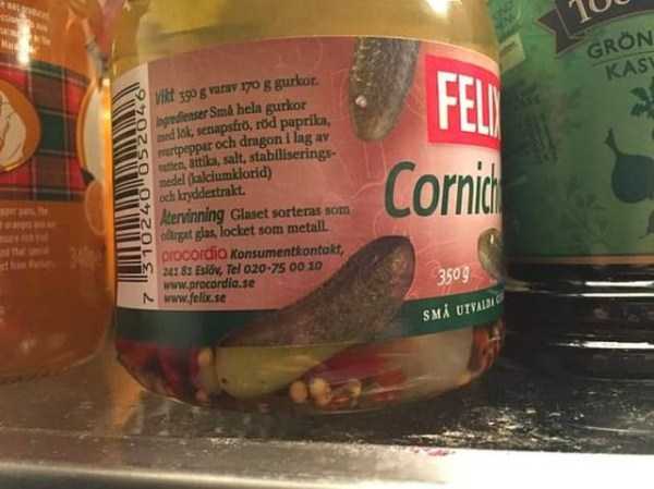 45 Amusing Coincidences (45 photos)