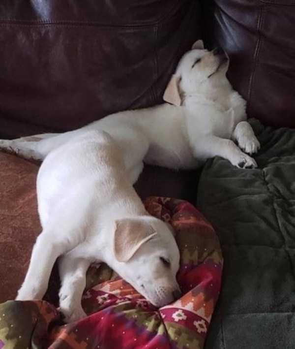 45 Amusing Coincidences (45 photos)