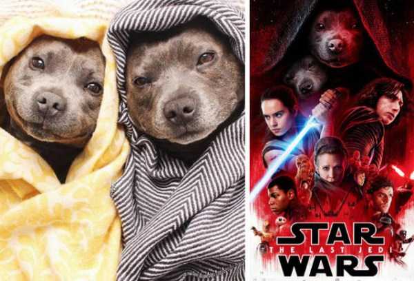 42 Highly Questionable Photoshops (42 photos)