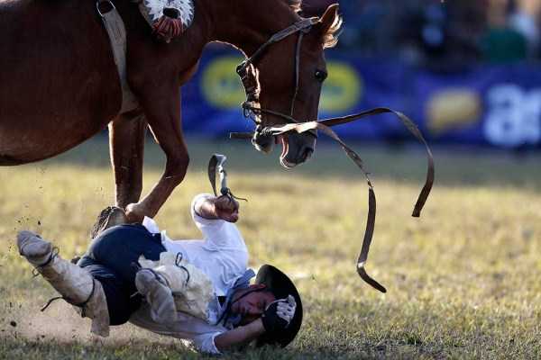 43 Perfectly Timed Photos