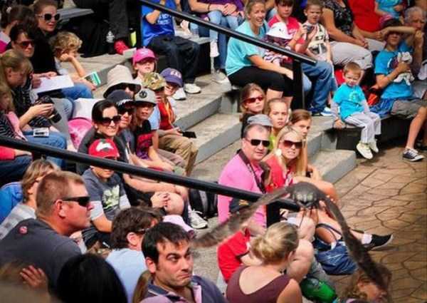 43 Perfectly Timed Photos