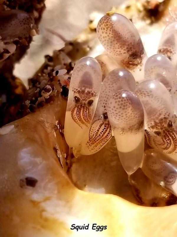 38 Random Pictures With Captions (38 photos)