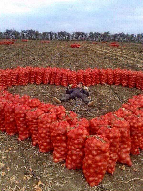 Meanwhile On Russian Social Media – Part 16 (41 photos)