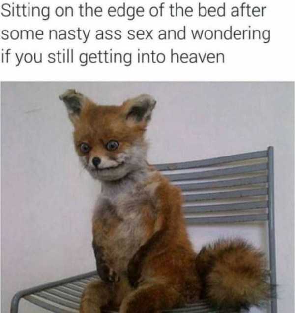 33 Funny Sex Related Memes (33 photos)