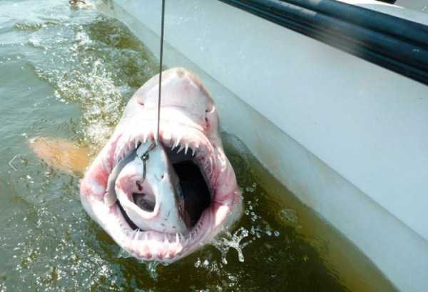 That Weird Side Of The Internet – Part 61 (57 photos)