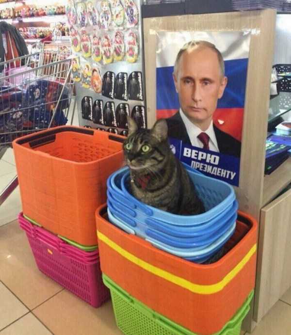47 WTF Photos From The Planet Russia