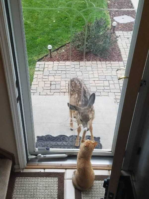45 Nothing But Awesome Pics (45 photos)