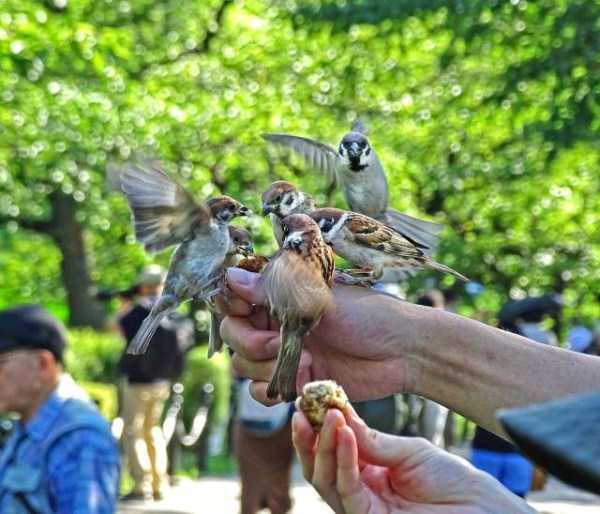 45 Nothing But Awesome Pics (45 photos)
