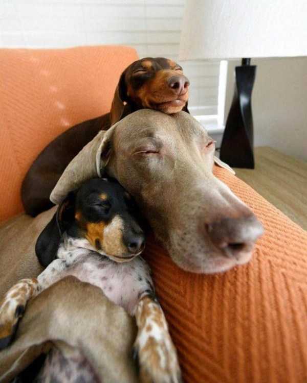 45 Nothing But Awesome Pics (45 photos)