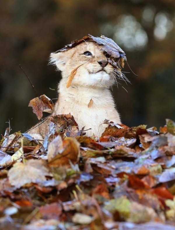 45 Nothing But Awesome Pics (45 photos)